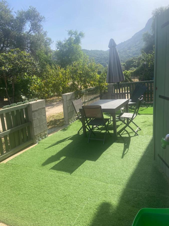 Appartement Proche Du Depart Du Gr20 칼렌자나 외부 사진